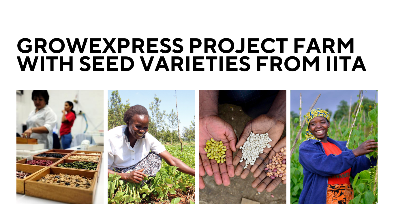 GrowExpress project farm with seed varieties from IITA